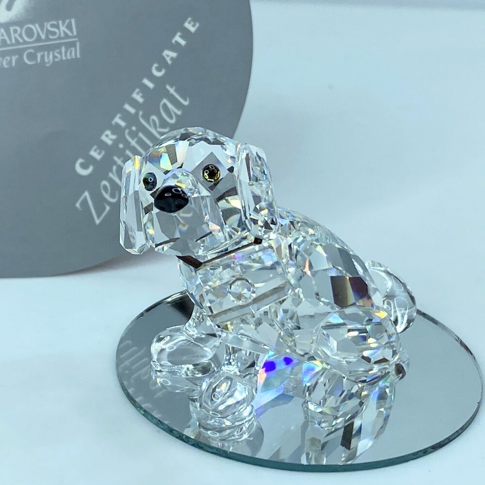 Swarovski Crystal St Bernard Puppy Mint COA Displayed Mirror S121